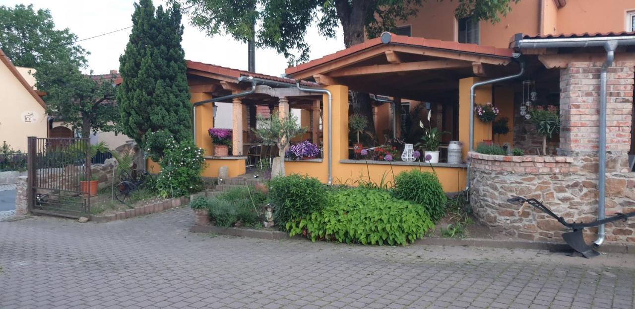 Hotel Und Pension Al Dente Nunchritz 外观 照片